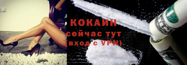 дурь Осташков