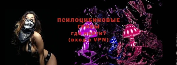 дурь Осташков