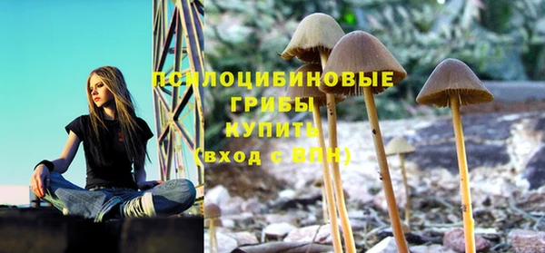 соль курить ск Нязепетровск