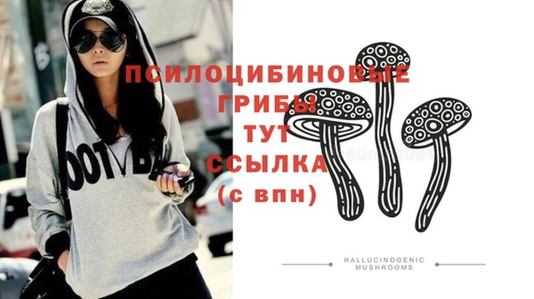 экстази Няндома