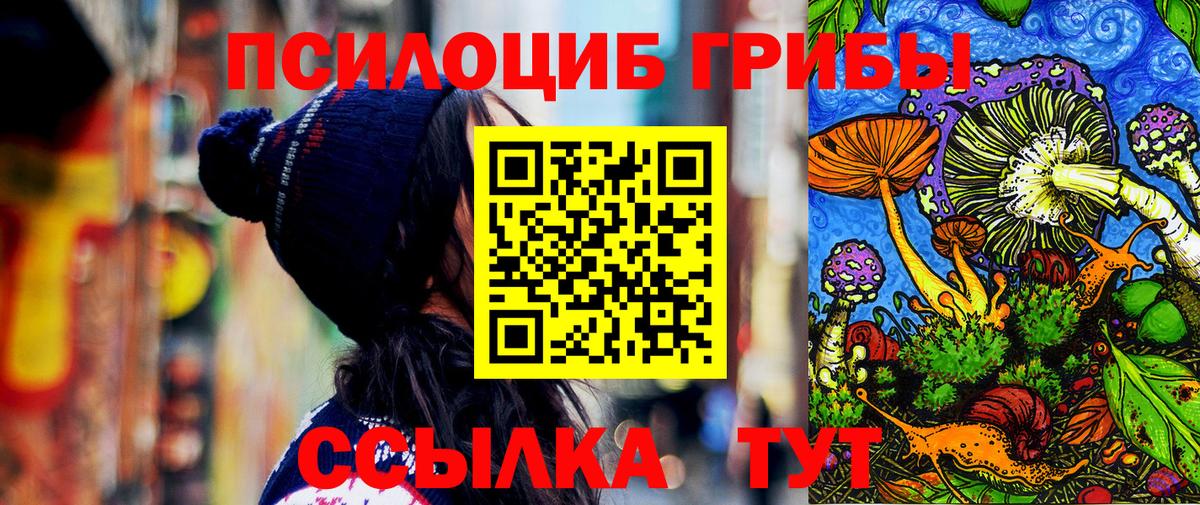 Губкинский  Псилоцибиновые грибы MAGIC MUSHROOMS  Вход с VPN 