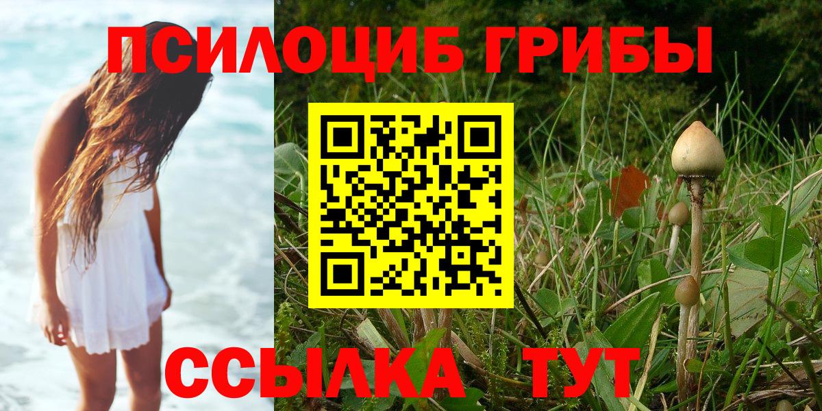 Псилоцибиновые грибы GOLDEN TEACHER  Губкинский  Псилоцибиновые грибы MAGIC MUSHROOMS 