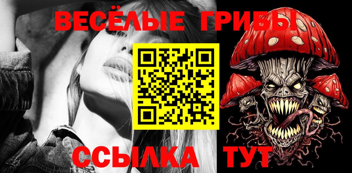 Галлюциногенные грибы Psilocybine cubensis Губкинский